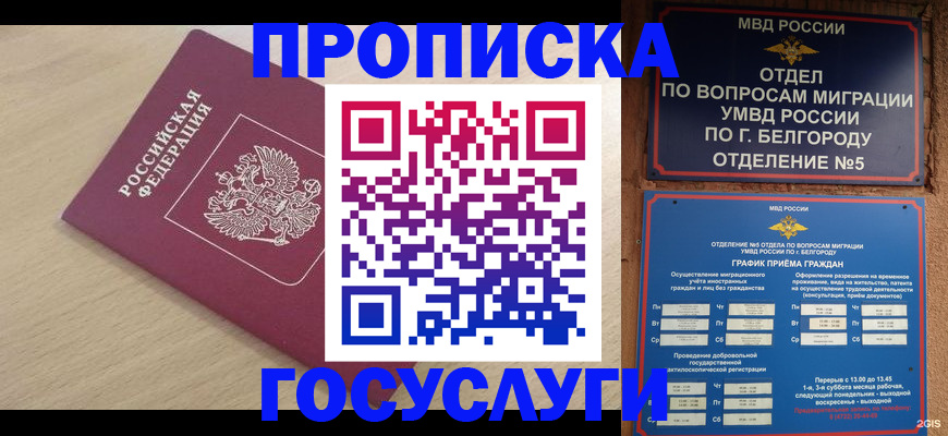 прописка законно в Алуште